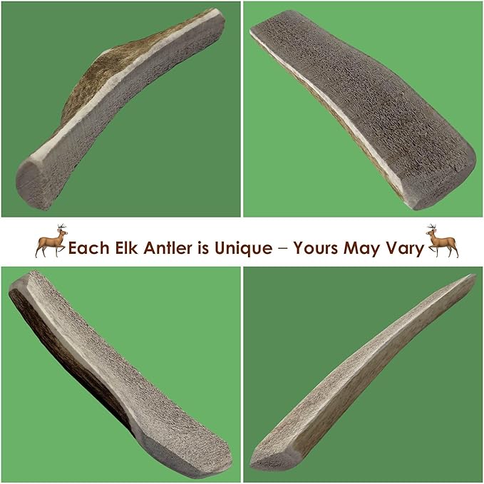1 Piece Medium Split Elk Antler Dog Chew (5.5 to 7 inches) – All Natural, Premium Grade A, Odor-Free, USA-Sourced – Long-Lasting Dental Treats for Small Dogs Under 35 lbs