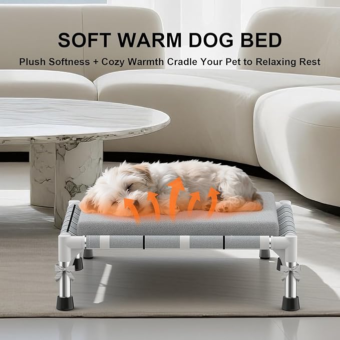 Elevated Raised Outdoor Dog Bed - Cooling Lifted Outside Dogs Bed with Cushion Mat Dog Hammock Bed with Stainless Steel Frame Portable Puppy Pet Bed for Indoor & Outdoor (S: 20" x 20" x 8")