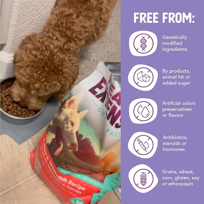 Health Extension Grain Free Buffalo & Whitefish Dry Dog Food - 30+ Superfoods and Probiotics for All Life Stages (10lb)