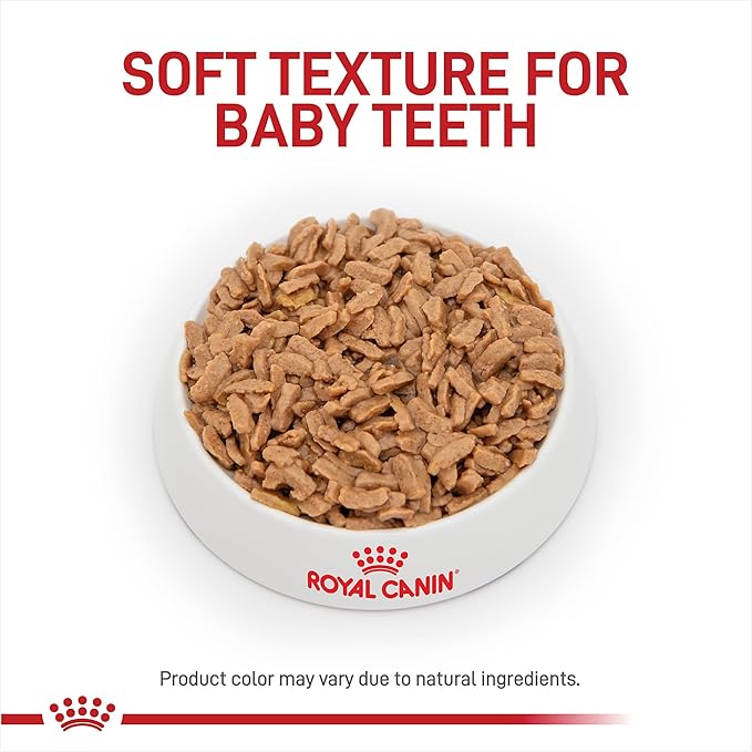 Royal Canin Size Health Nutrition Medium Puppy Thin Slices in Gravy Dog Food, 13 oz (Pack of 12)
