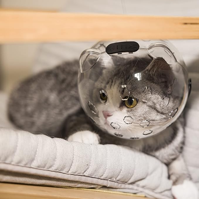 Cats Anti-Bite Muzzles Breathable Helmets Muzzles for Pet Nail Trimming & Grooming Transparent Not Covering Eye