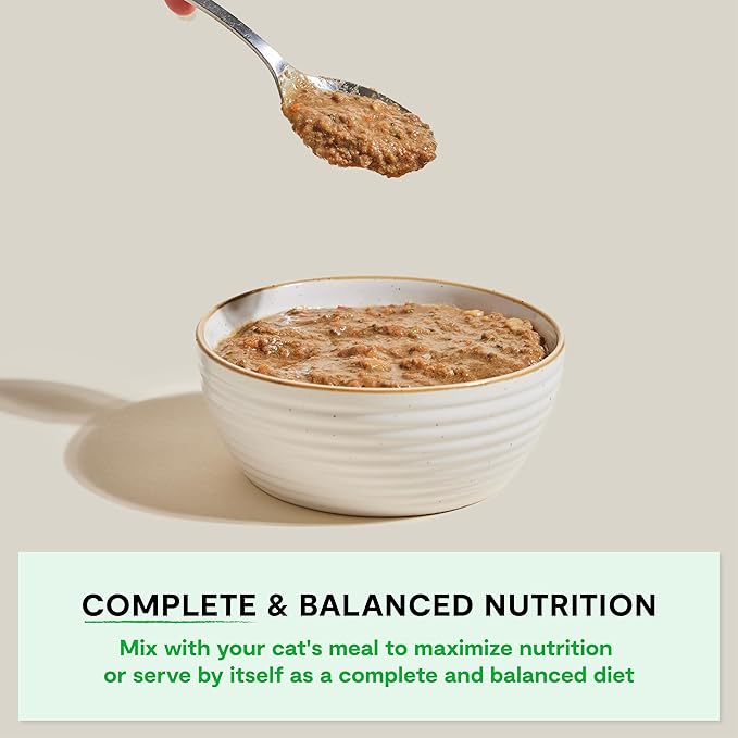 Open Farm Rustic Blend Wet Cat Food, Complete & Balanced Medley with Human-Grade Ingredients, Humanely-Raised Meat, Non-GMO Veggies & Bone Broth, Wild-Caught Salmon Recipe, 5.5oz Packs (Case of 12)