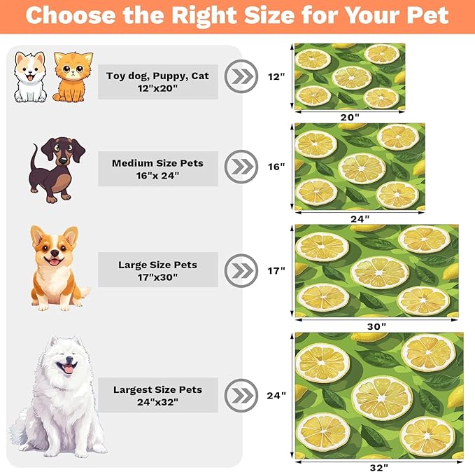 Lemon Slices Dog Food Mat for Floors Absorbent Dog Bowl Mat for Food and Water Dispenser Quick Dry Cat Food Placemat Pet Supplies 12" x 20", Summer Fruit