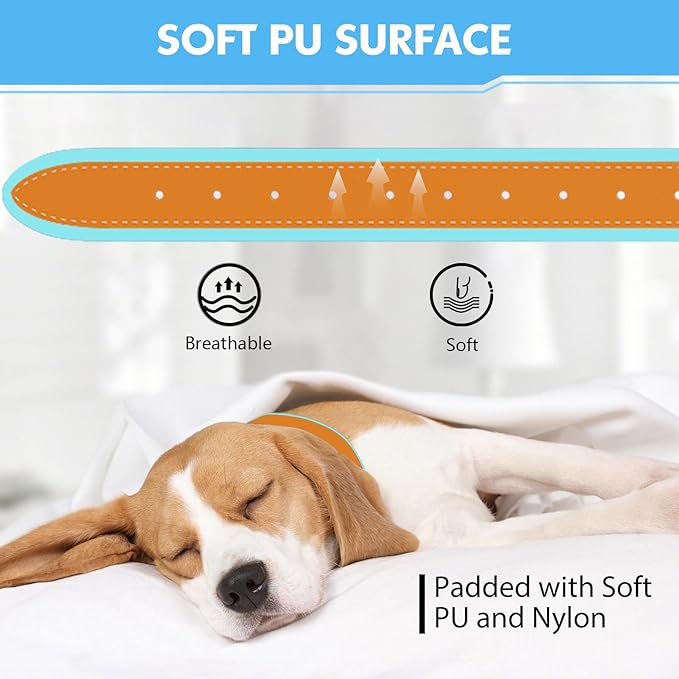 GPS Tracker for Dogs, 2 in 1 Pet Tracking Smart Collar (Only iOS), No Monthly Fee GPS Tracker Dog Collar, Real-time Location Comfortable PU Tracker Tag for Small, Medium Large Dogs(Locator Included)