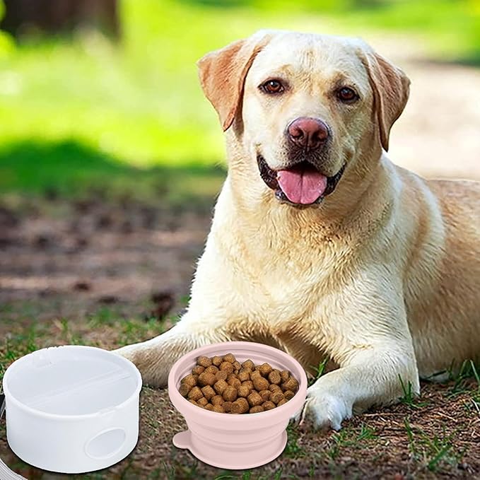 Portable Dog Accessories, Feeder Dish Puppy Bowls, Pet Feeding Station for Puppies Dogs and Kittens, Cat Bowl, Pet Supplies, Cat Feeder, Indoor Outdoor Feeding Kitten Bowls
