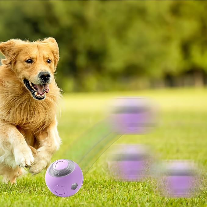 Genérico Moving Dog Ball - Electric Pet Toy | Rechargeable Quiet Dog and Cat Ball with LED Lights For Puppies Cats Aggressive Chewers Indoor Games Interactive Pet Supplies
