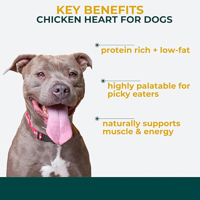 Momentum Carnivore Nutrition Freeze-Dried Chicken Heart Dog Treats & Cat Treats – Single-Ingredient, High-Protein, Grain-Free, Naturally Nutrient-Rich – Made in USA – 3.5 oz Bag
