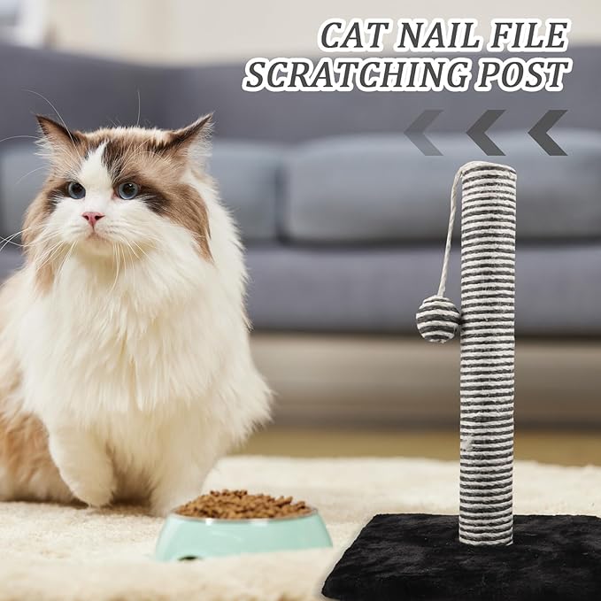 Homoyoyo Cat Scratching Post and Claw Scratcher Pole with Hanging Ball Sisal Material Black Indoor Cat Nail File and Play for Kittens