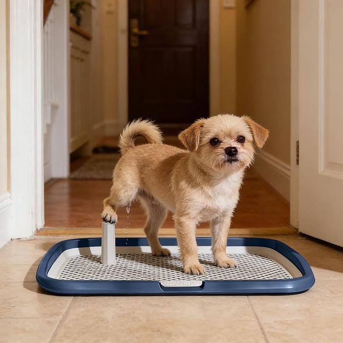 Dog Potty Tray with Guide Pillar, Indoor Pet Pee Pad Holder Duty, Removable Washable Puppy Training Toilet for Housebreaking Supplies Small Medium Dogs (Blue-S)