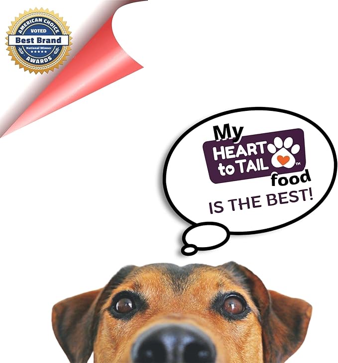 15 Trays Wet Dog Food 3.5 OZ Filet Mignon Flavor + Gift Bone