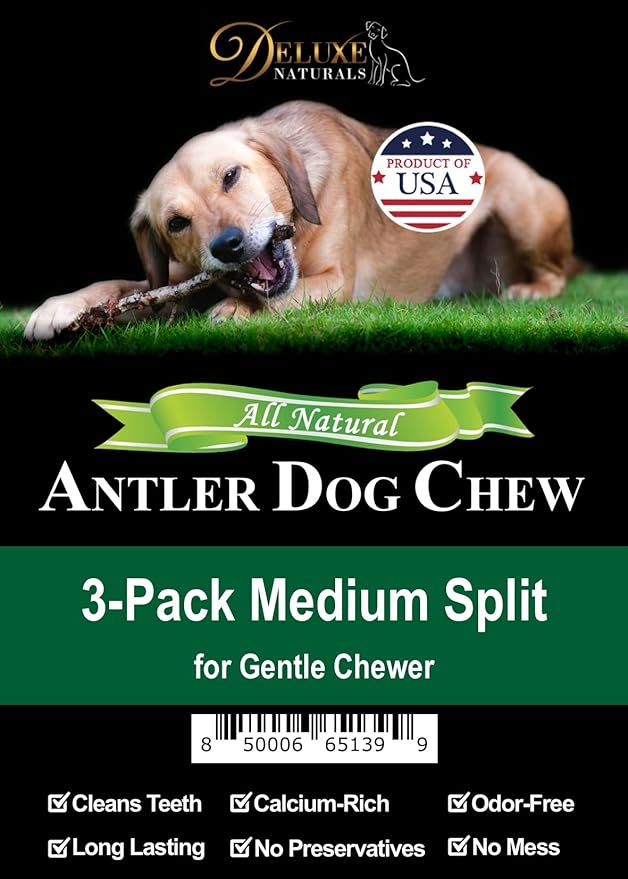 3 Pieces Medium Split Elk Antler Dog Chew (5.5 to 7 inches) – All Natural, Premium Grade A, Odor-Free, USA-Sourced – Long-Lasting Dental Treats for Small Dogs Under 35 lbs