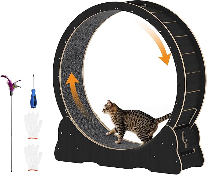 Cat Exercise Wheel Indoor, Quiet Medium Cat Treadmill with Detachable Carpeted Runway & Lock, 38.2” Exercise Running Wheel for Pet’s Health and Entertainment, (Black, M)