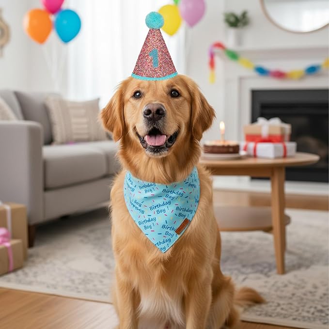 PTDECOR Dog Birthday Party Supplies, Blue Birthday Boy Bandana, Glitter Dog Birthday Hat with Numbers for Large X-Large Dogs Pets (X-Large)