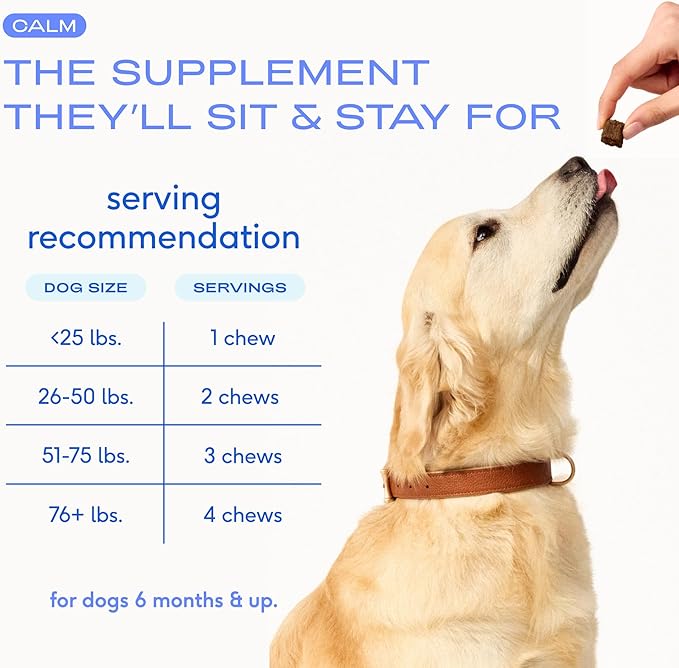Native Pet Calming Chews for Dogs - Melatonin for Dogs Anxiety Relief - Grain Free All Natural Hemp Calming Treats & L-Theanine Helps Manage Stress & Separation Anxiety - Puppy Sleep Aid - 90 Chews