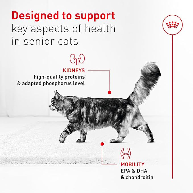 Royal Canin Feline Health Nutrition Aging 11+ Wet Cat Food for Seniors, Thin Slices in Gravy for Cats Over 11 Years, Supports Optimal Health & Vitality, 3 oz can, case of 12