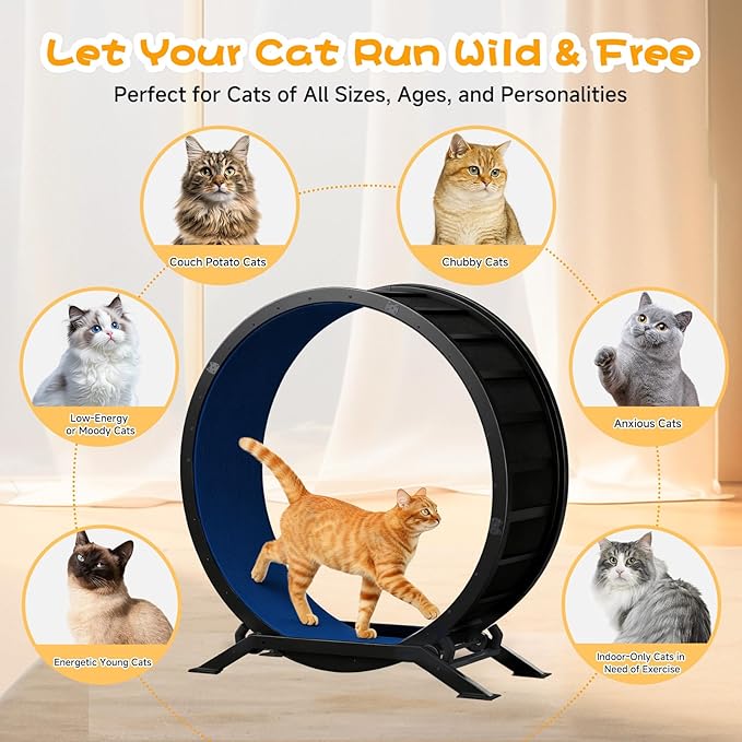 GTPLAYER Cat Wheels, Large Cat Exercise Wheel for Indoor Cats, 40"Diameter cat treadmill Detachable Carpet & Teaser, stickers, Ultra-quiet scroll wheel With latch, Suitable for Most Cats, Metal, Blue
