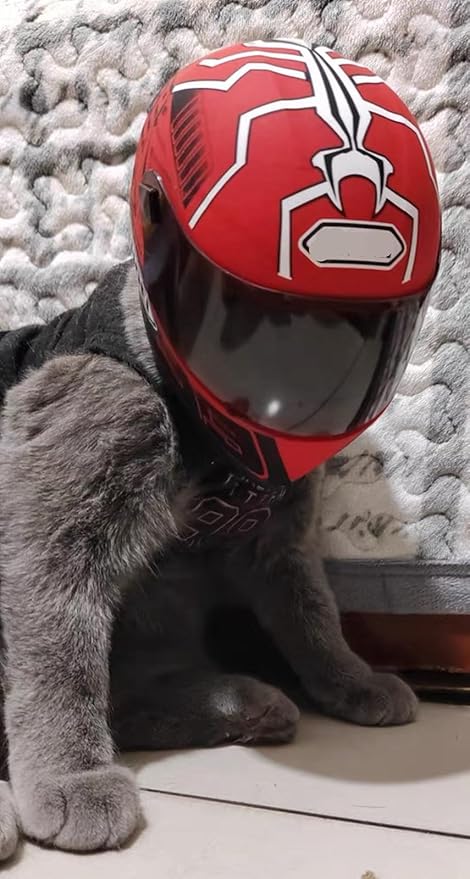 Pet Motorcycle Helmet Dog/Cat Full Face Motorcycle Helmet Outdoor Motorcycle Bike Riding Helmet Hat for Cat Dog Doggie Puppy Kitten Pet Supplies Racing Car Fan Collectible Small Gift (Red93)