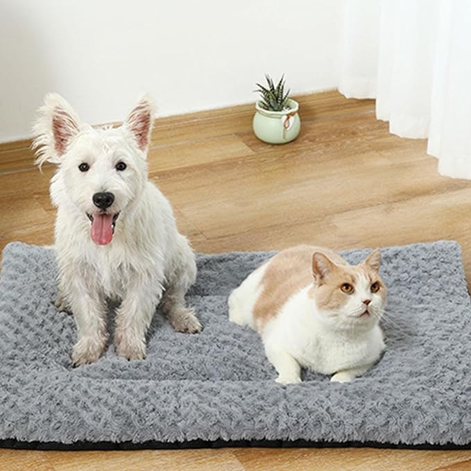 Pet Bed Cats Washable – Functional Elegant Sturdy Premium Cat Crate Supplies, Sleek, high-Performance, All Seasons Soft Dog, Beds Dogs Bedroom Or Balcony | Cats, Dogs, Stylish