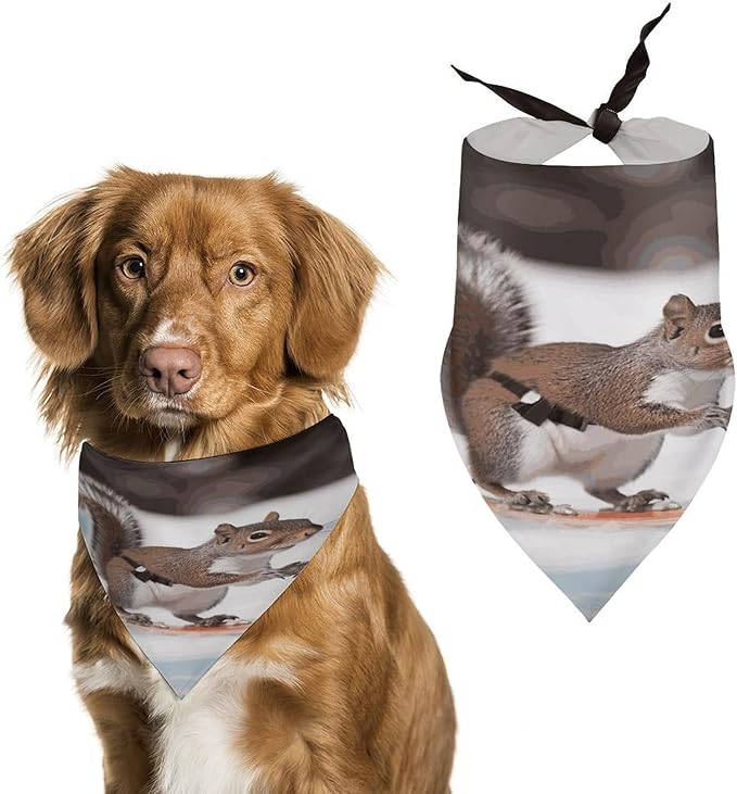 Dog Bandana Spring Pet Scarf Adjustable Triangle Skiing Squirrel Printing Dog Bib Washable Polyester Puppy Bandana for Small Medium Large Dogs Cat Birthday Party Supplies
