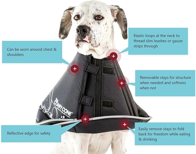 All Four Paws Comfy Cone Pet Cone for Dogs, Cats, X-Large, Black - Comfortable Soft Dog Cone Collar Alternative for After Surgery, Wound Care, Spay, Neuter - Dog and Cat Recovery Elizabethan-Collar