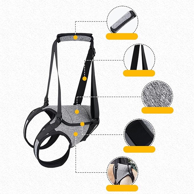 Dog for Large Dogs Back Lift Harness for Injured Elderly Dogs Disabled Pet Supplies for Back Legs Accessories