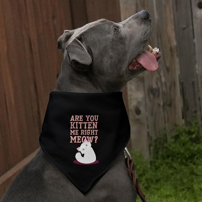 GRAPHICS & MORE are You Kitten Me Right Meow Cat Dog Pet Bandana