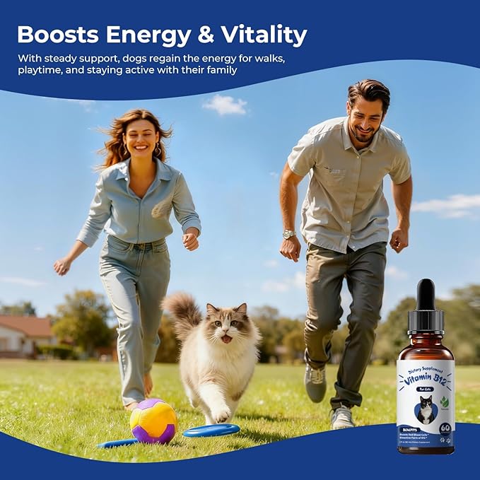 Appetite Stimulant for Cats, Liquid Vitamin B12 Drops, Methylcobalamin Supplement, Boosts Appetite, Energy, Mood, Recovery and Red Blood Cell Formation, Cat Vitamins - 2 fl oz (60ml)