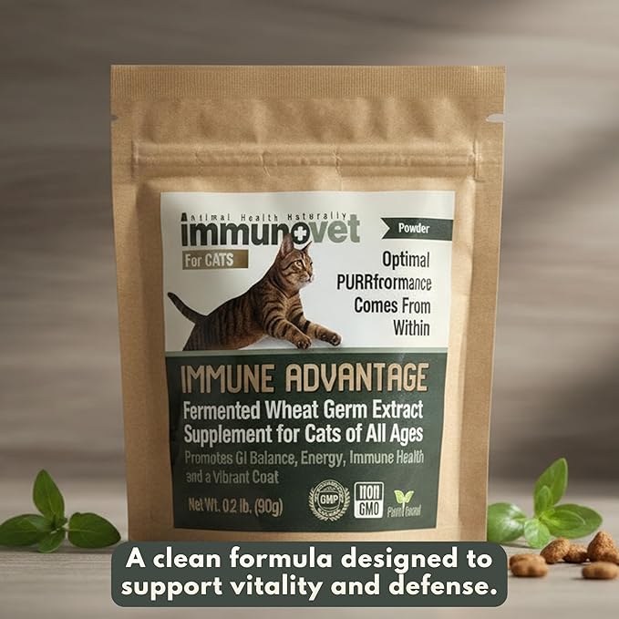 Cat Supplement Powder with Fermented Wheat Germ Extract (FWGE) – Supports Immune System, Gut Health & Energy – Natural, Non-GMO, Vet-Trusted Formula for All Cat Ages – 90g | Immunovet