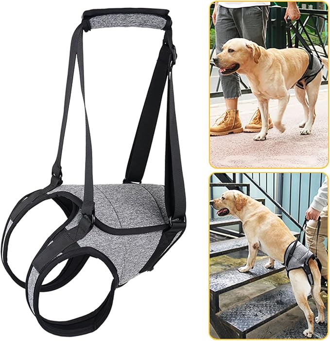 Dog for Large Dogs Back Lift Harness for Injured Elderly Dogs Disabled Pet Supplies for Back Legs Accessories