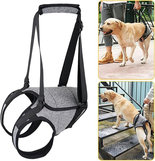 Dog for Large Dogs Back Lift Harness for Injured Elderly Dogs Disabled Pet Supplies for Back Legs Accessories