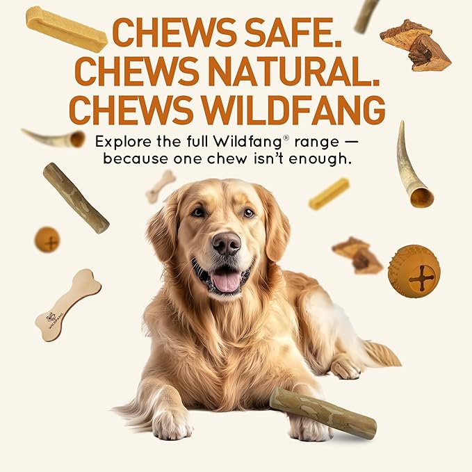 Wildfang® Coffee Wood Dog Chew, XS – Tough Chew Toys for Aggressive Chewers, Dog Teething Toys for Puppies, Training for Chewing Muscles, Coffee Tree Sticks for X-Small Dogs (Under 22 lbs), Pack of 3