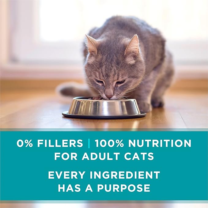 Purina ONE Urinary Tract Health,Natural Pate Wet Cat Food,Urinary Tract Health Beef & Liver Recipe - 3 oz. Pull-Top Cans,(Pack of 48)