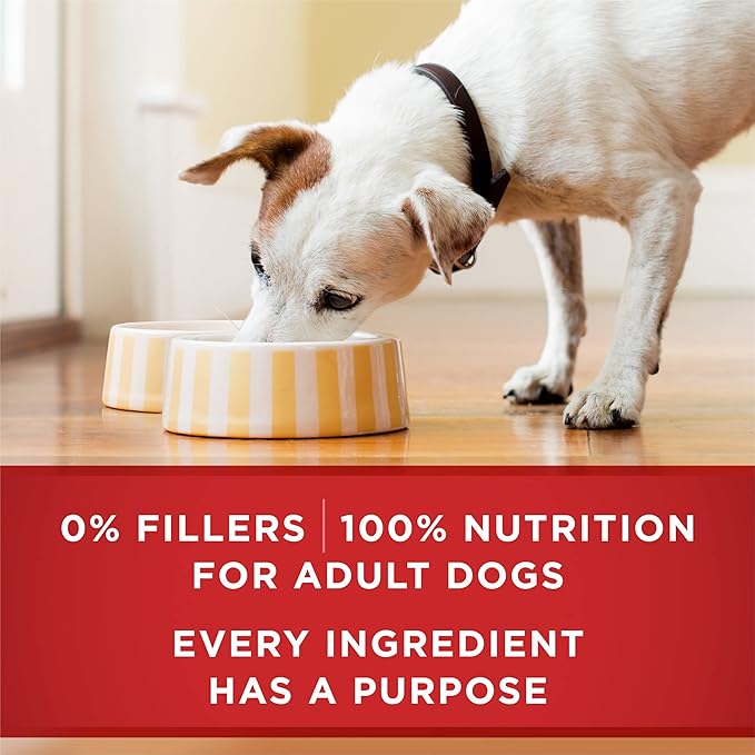 Purina ONE Classic Ground Chicken and Brown Rice Entree Adult Wet Dog Food - (Pack of 12) 13 oz. Cans