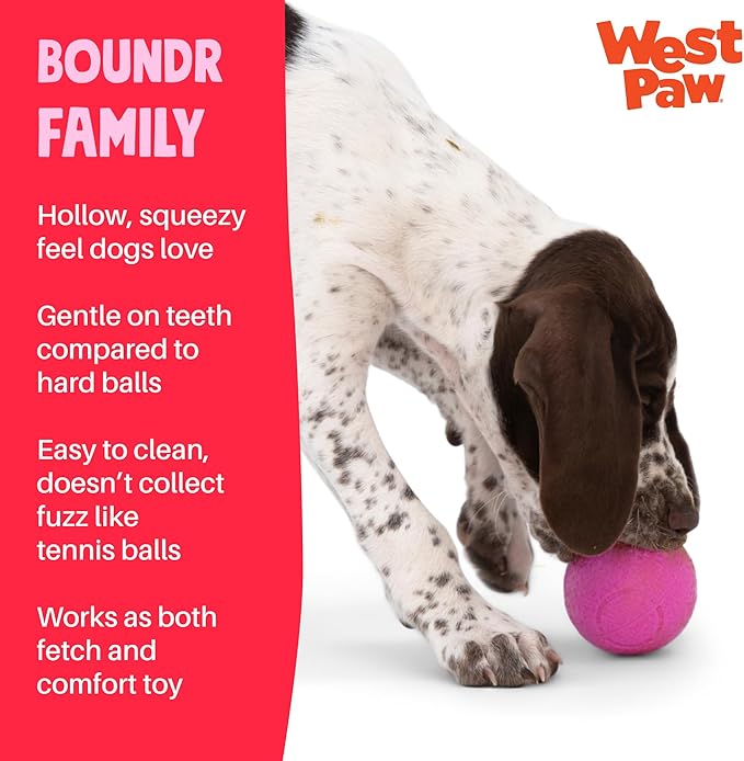 WEST PAW Boundr Ball Dog Fetch Toy – Bouncing Toys for Dogs, Fetch, Catch, Chewing, Play – Floatable, Recyclable Balls – Small Hotpink/Glow 2-Pack
