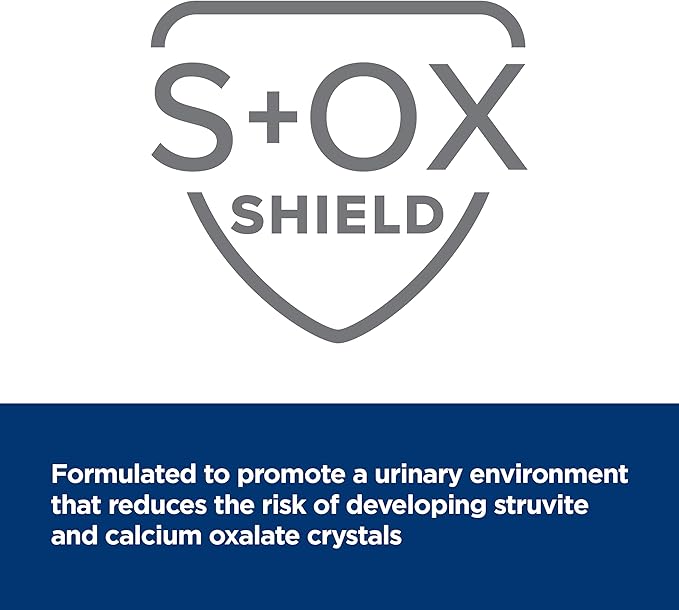 Hill's Prescription Diet Multi-Organ Support Turkey & Vegetable Stew Wet Dog Food, 12 x 12.5 oz case