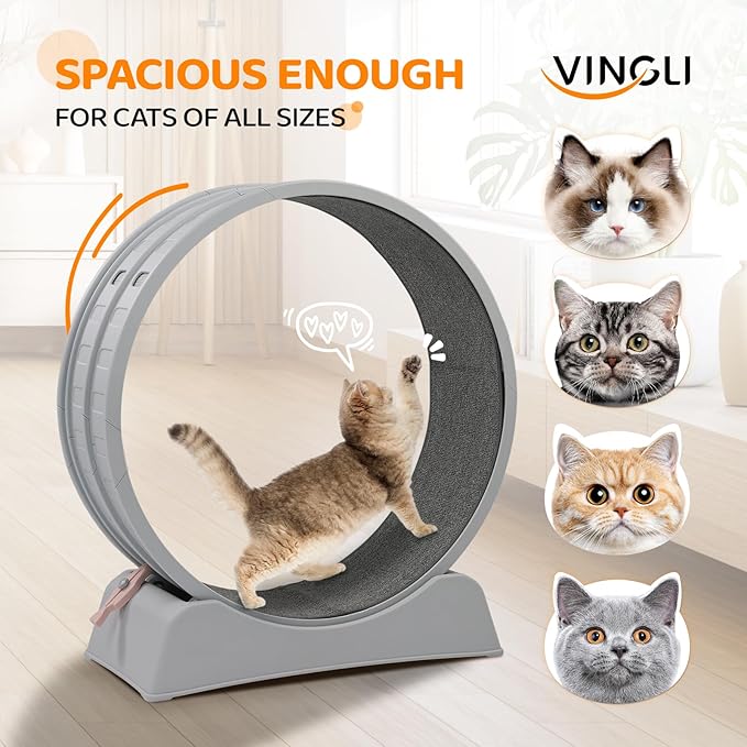 VINGLI Cat Exercise Wheel, 31" Cat Treadmill for Indoor Cats, Cat Running Wheel with Carpeted Runway for Weight Loss & Daily Exercise (Grey)