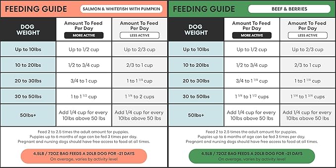 The Pets Table Grain Free Air Dried Dog Food 2 Pack - Beef & Berries + Salmon & Whitefish, 48 Ounce (Pack of 2)