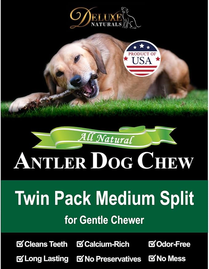 2-Pack Medium Split Elk Antler Dog Chews (5.5 to 7+ in) – All Natural, Premium Grade A, Odor-Free, USA-Sourced – Long-Lasting Dental Treats for Small Dogs Under 35 lbs