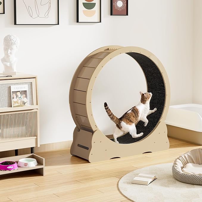 Cat Exercise Wheel Indoor, Quiet Medium Cat Treadmill with Detachable Carpeted Runway & Lock, 38.2” Exercise Running Wheel for Pet’s Health and Entertainment, (Natural, M)