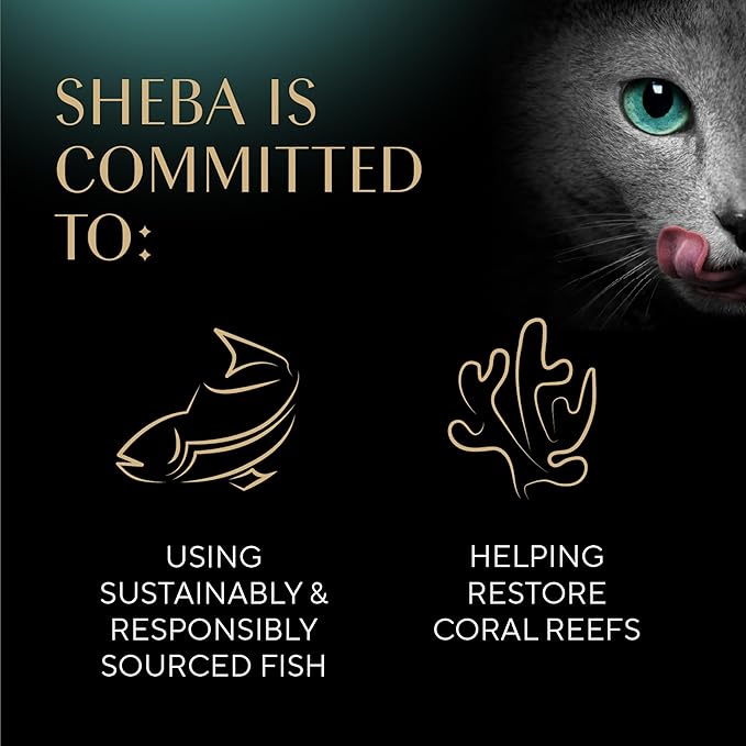 Sheba Perfect Portions Wet Cat Food Pate Savory Chicken, Roasted Turkey, with Sustainable Salmon, and Tender Whitefish & Tuna Variety Pack, 2.6 oz. Twin-Pack Trays (48 Count, 96 Servings)
