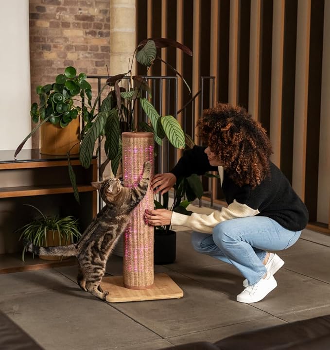Omlet Switch LED Cat Scratching Post | Sustainable & Extra Tall 33” Cat Scratcher | Boredom Buster for Indoor Cats | Over 1200 Irresistible Light Modes | Bamboo Base and Sisal (Coffee)
