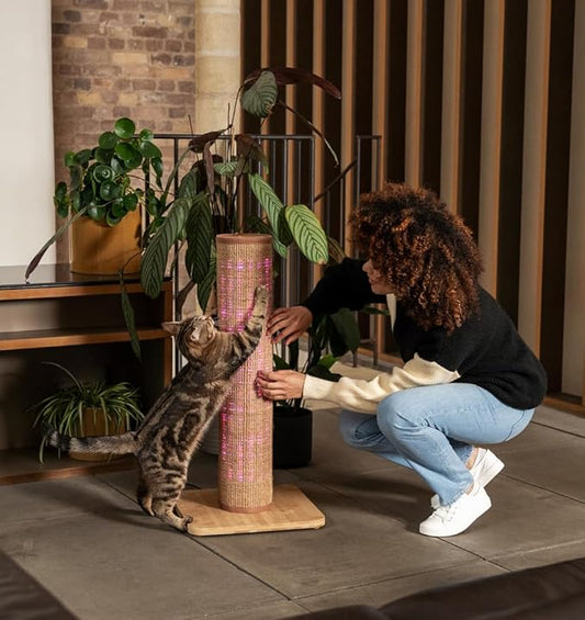 Omlet Switch LED Cat Scratching Post | Sustainable & Extra Tall 33” Cat Scratcher | Boredom Buster for Indoor Cats | Over 1200 Irresistible Light Modes | Bamboo Base and Sisal (Coffee)