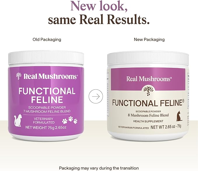 Real Mushrooms Cat Supplement Powder – Organic Mushroom Blend with Antarctic Krill & Ashwagandha – Cat Vitamins for Older Cats or Kittens – 2.65 oz Functional Feline Formula