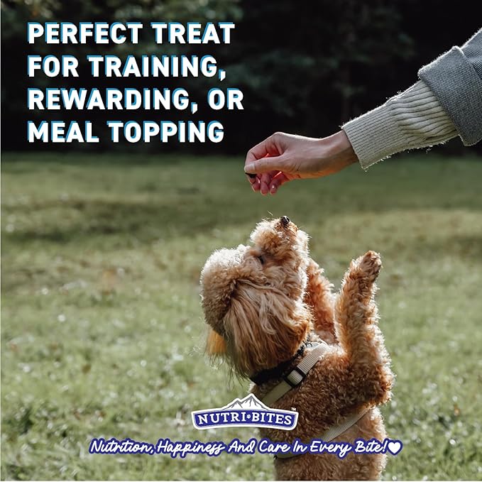 Nutri Bites Freeze Dried Chicken Dog & Cat Treats | Healthy Pet Training Treats or Food Topper | All Natural, 1 Single Animal Protein, High Protein | Premium Bulk Value Pack, 15 oz