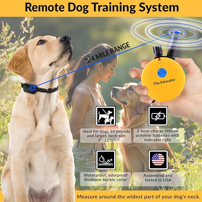 Educator E-Collar Humane Dog Training Collar with Remote - 100 Levels Safe Tapping Sensation Night Light Waterproof Rechargeable 3/4 Mile, includes Premium Finger Clicker for Small/Medium Dog, Yellow