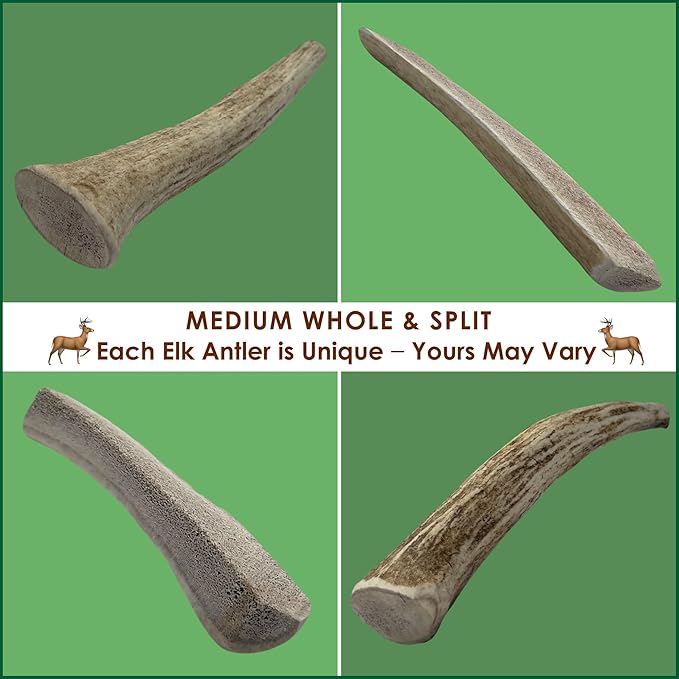 1-LB Medium Mixed Whole & Split Elk Antler Dog Chews (5.5-8+ in) – Long Lasting Natural Treats for Small to Medium Dogs Under 40 lbs – Durable Bones for Teeth Cleaning
