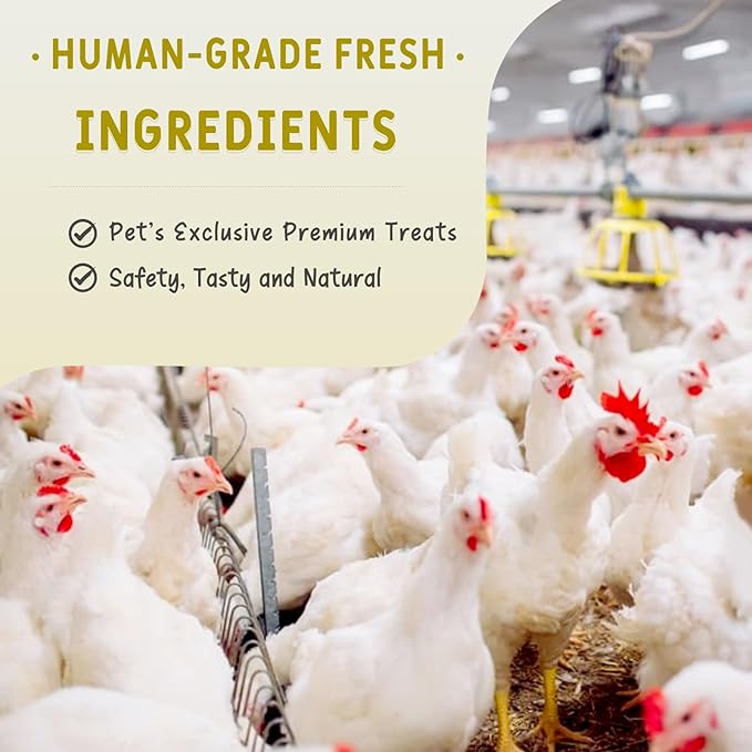 Freeze Dried Chicken Necks Dogs & Cats Treats 100g, Single Ingredient, Premium Quality High Protein Training Treats, Grain Free, Gluten Free, Filler Free, Supports Bone, Teeth & Joint Strength