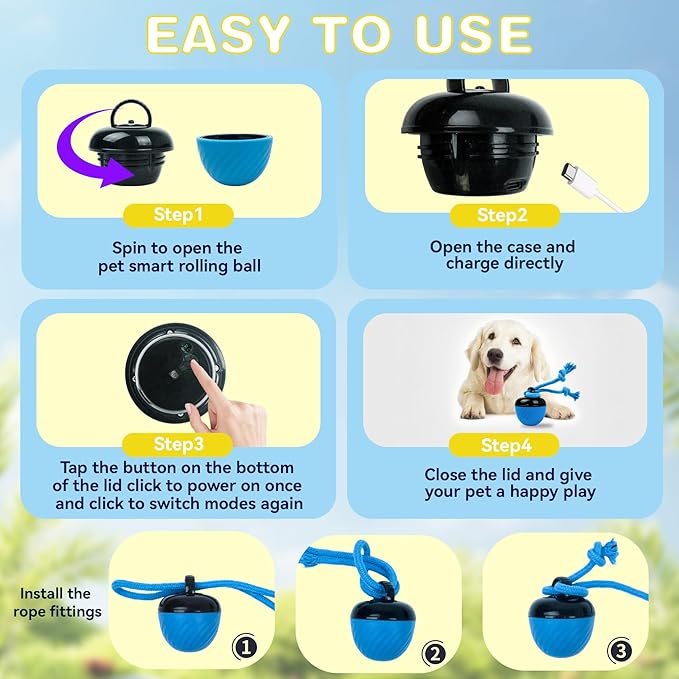 Interactive Dog Toys with Motion Activated, Squeaky Dog Toy Active Rolling Ball for Puppy and Medium Dogs, USB Rechargeable, Wicked Ball