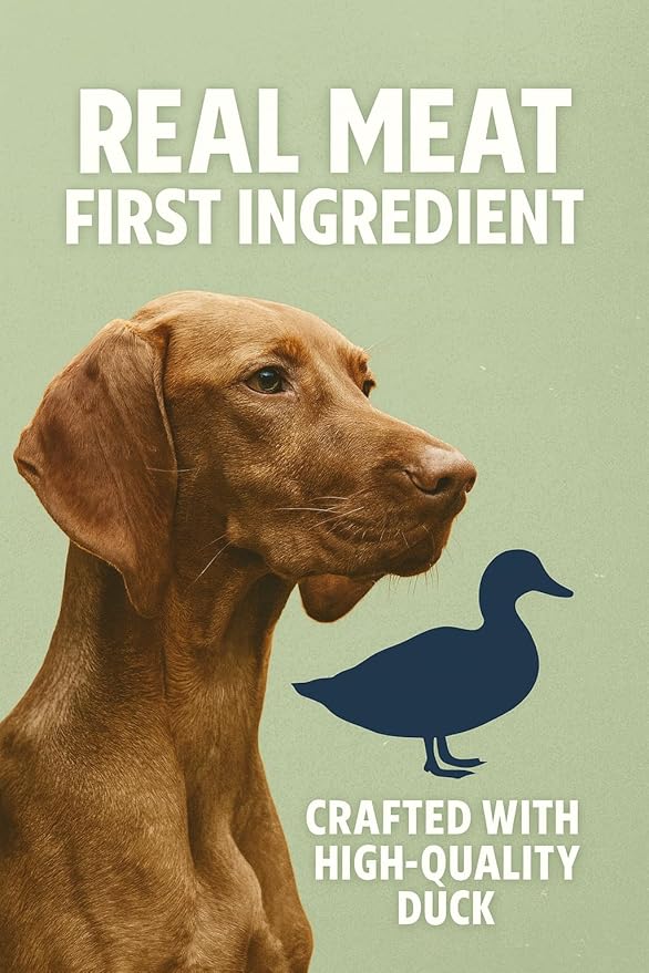 CountryMax Maggie & Duke's Tender Bites in Gravy Canned Dog Food, 14 oz Cans – Premium Wet Food for Dogs, High Protein, Grain-Free, Natural Ingredients (12 Pack, Duck Dinner)