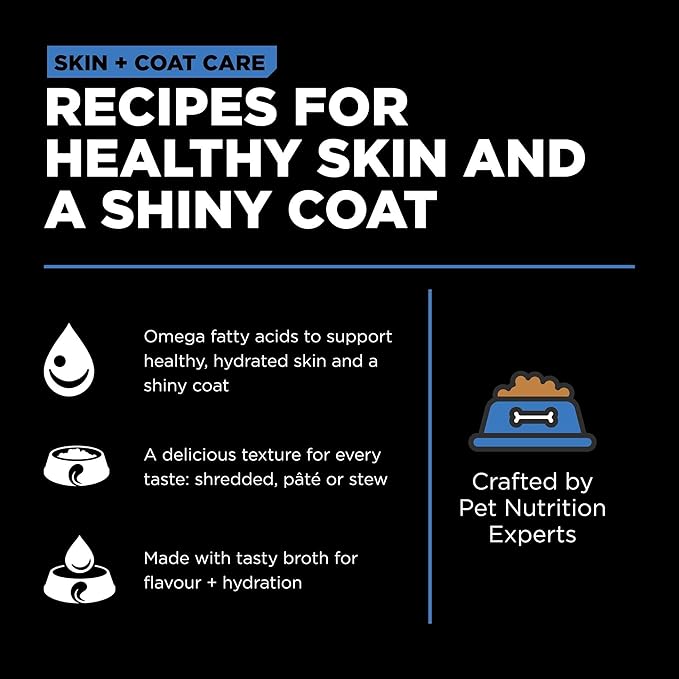 Go! Solutions Skin + Coat Care, Wet Dog Food, Shredded Chicken Recipe with Grains for Sensitive Skin, 12.5 oz (Pack of 12)
